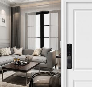 cửa khóa vân tay