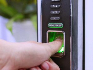 10 khoa van tay mqxx