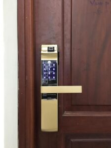 249228946 4360501767402282 2375577959507545823 n