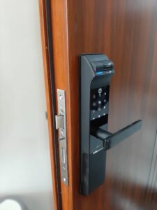 272197037 2466563986812948 7922129934672185815 n