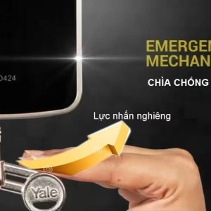 KHÓA VÂN TAY YALE YDD 724A